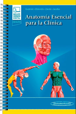 Anatomía Esencial para la Clínica
