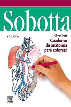 SOBOTTA Cuaderno de Anatom�a para Colorear