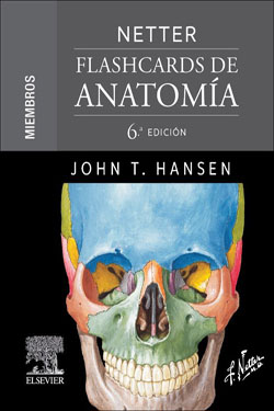 NETTER Flashcards de Anatomía