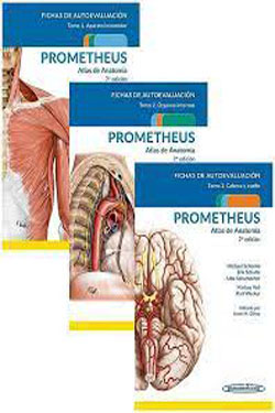 Fichas de Autoevaluacin Prometheus Atlas de Anatoma 3 Tomos