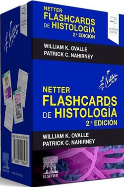 NETTER Flashcards de Histología