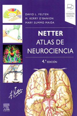 NETTER Atlas de Neurociencia