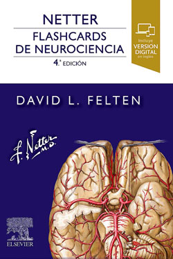 Netter Flashcards de Neurociencia