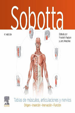SOBOTTA Tablas de Músculos, Articulaciones y Nervios