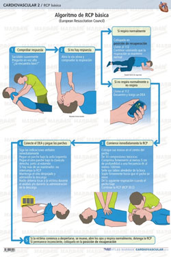 Cardiovascular 2 RCP Básica