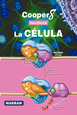 Cooper8 Handbook La CÉLULA